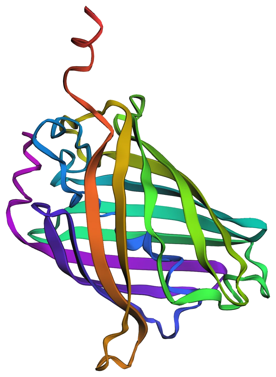 The same predicted structure coloured along the chain, from violet at the N-terminus to red at the C-terminal tail.